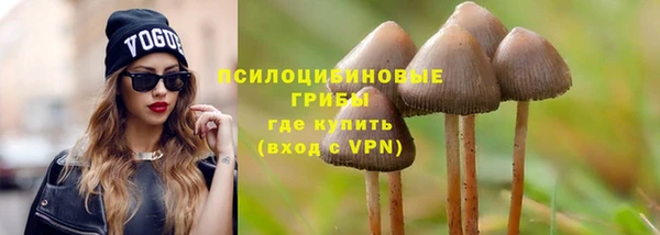 не бодяженный Армянск