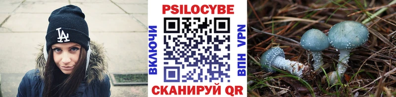 купить наркотик  Сурск  Псилоцибиновые грибы прущие грибы 